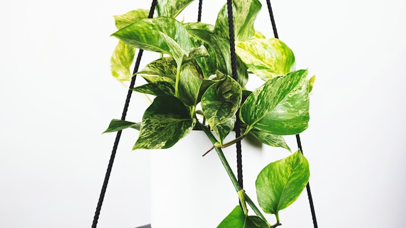 VAR视频助理裁判系统操作室内部场景 - 多块屏幕显示不同角度的比赛画面